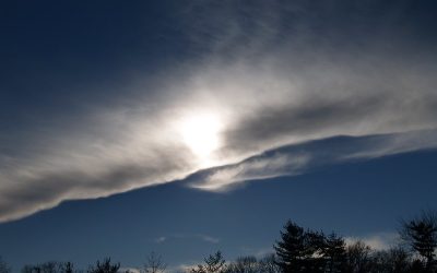 Sequestered Days and Silver Linings