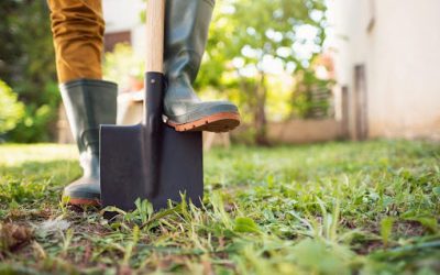 Dickens and digging within