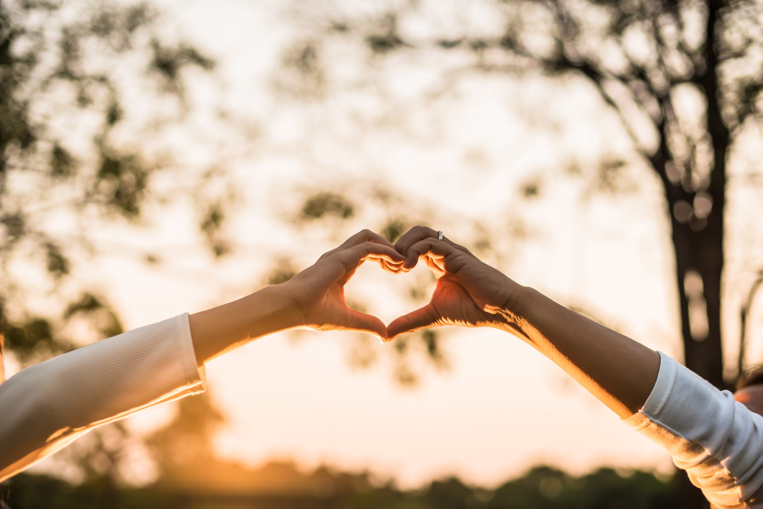 Two,People,Holding,Hands,With,Heart,Shape.,Man,And,Woman