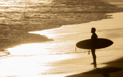Surfing the Tides of Change 